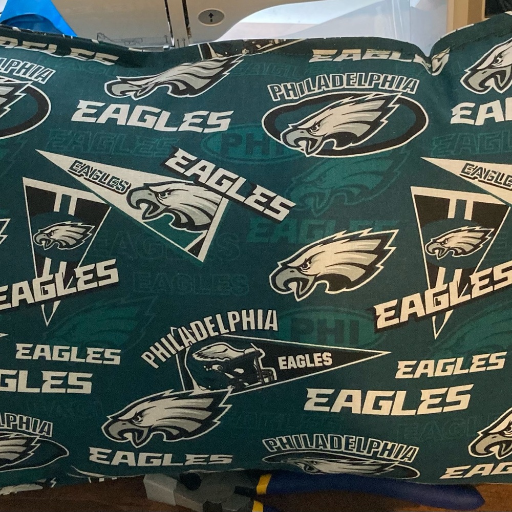 Eagles Handmade Pillow